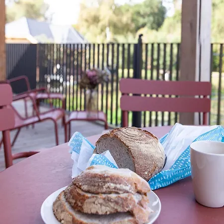 Escape To Nature In Semesterbostad